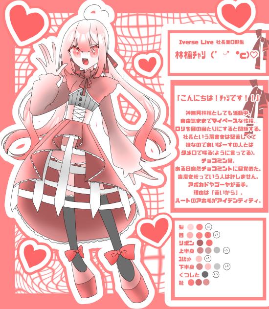 ﾁｬｿ資料