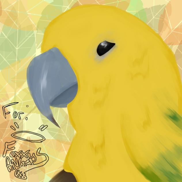 Foxxy's bird proto type