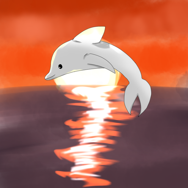 いるかと夕日