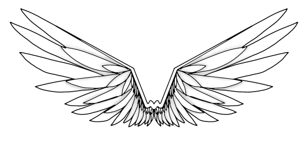 Wings of my sister....