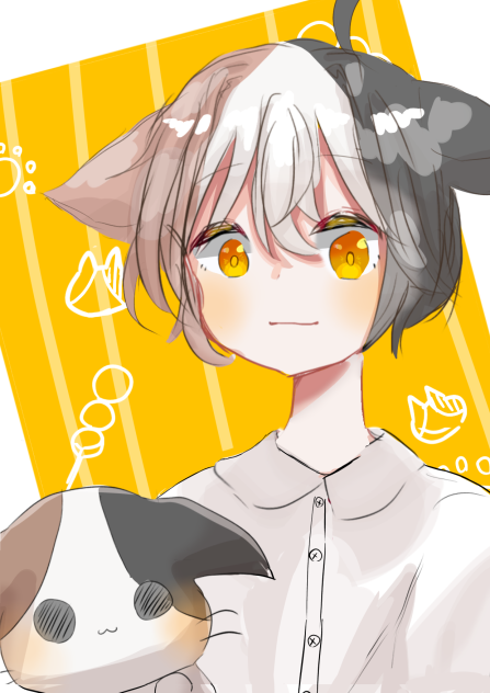 たみ