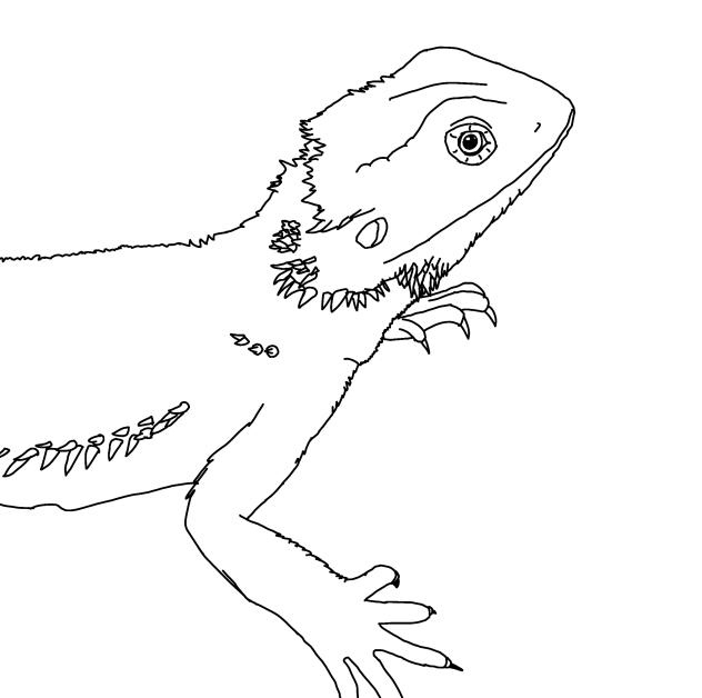 Free bearded dragon base (traced mine)