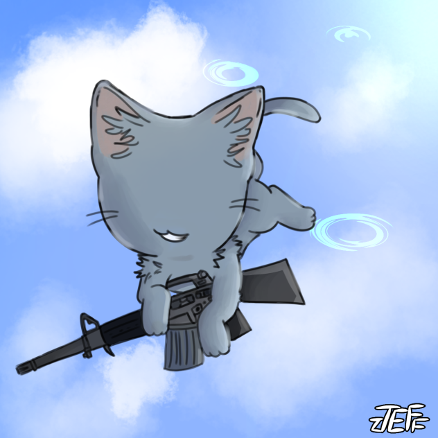 kitty gun