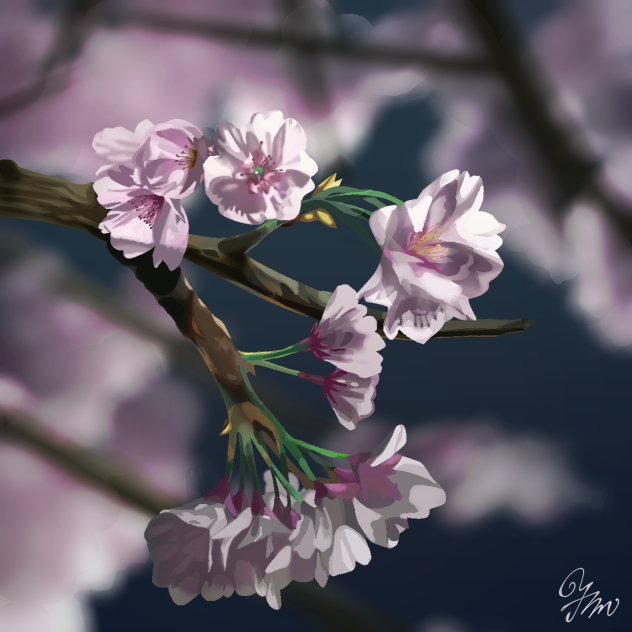 夜桜