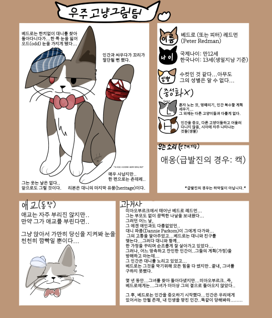 우주고냥팀