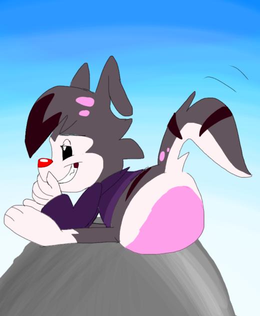 Plum’s Another Tail Shake while sitting