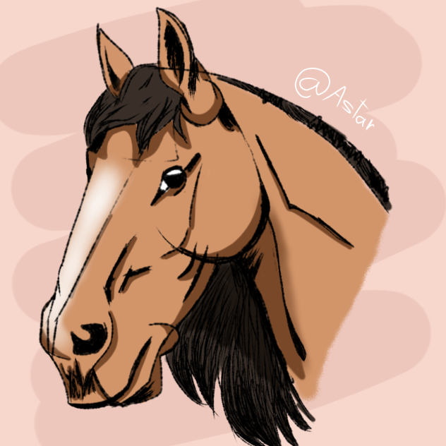Horse head