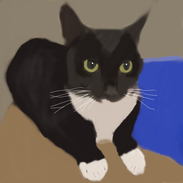 Cat loaf (From reference)