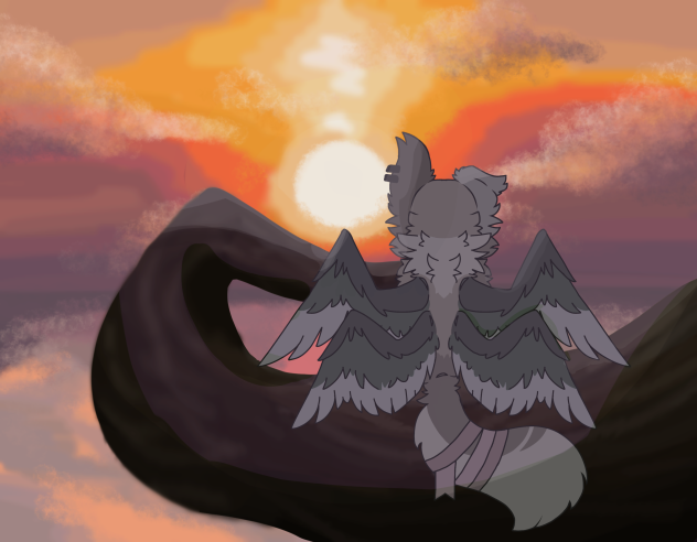 Watching the sunset…