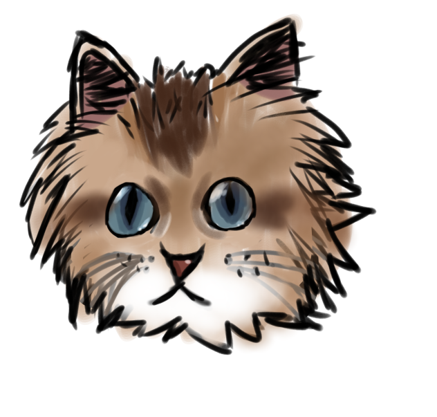 Realism attempt