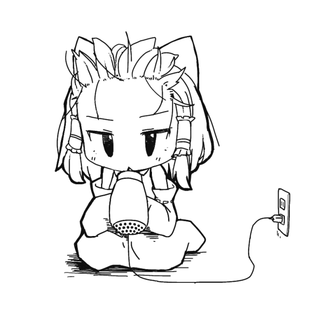 ドライヤーとサケノミ