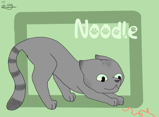 Noodle