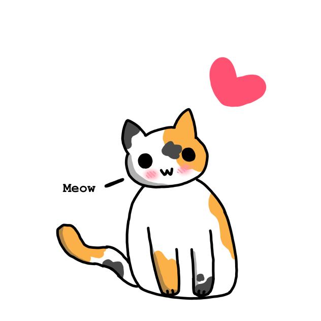 Calico Cat