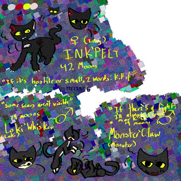 MY PETS AS WARRIOR CATS - ibisPaint