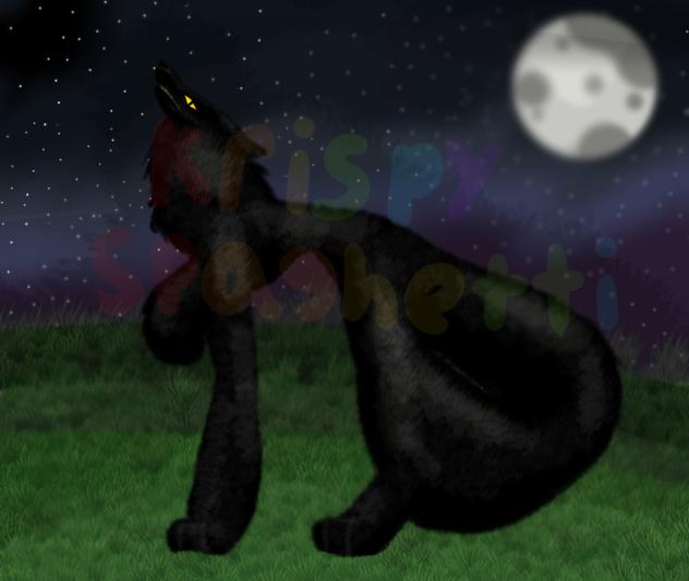 The Night
