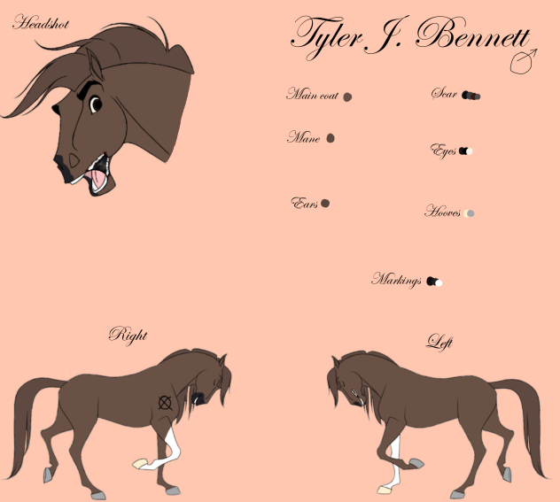 Tyler J. Bennet Reference sheet