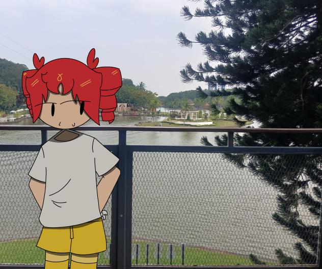 Birdbrain teto