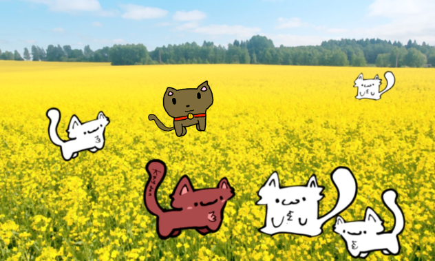 Joining cat collab from Lilo nordin