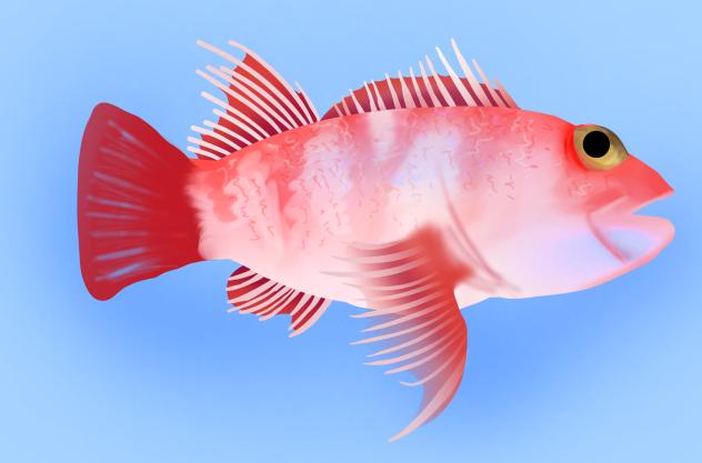 Fish theory