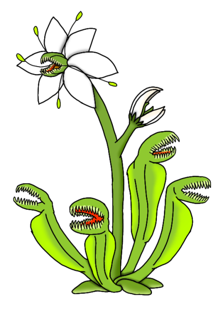 Scylla's Lily render