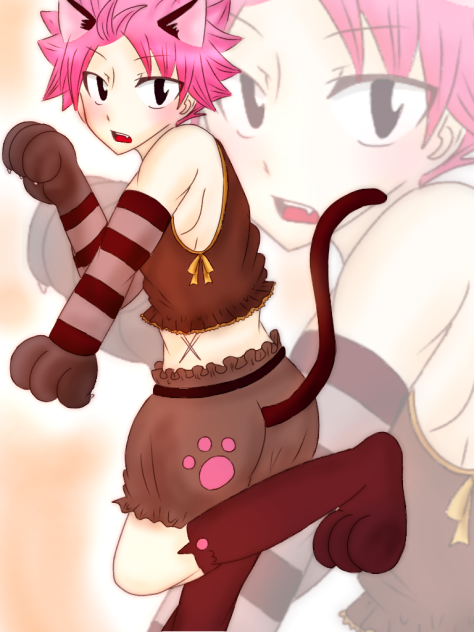にゃんこナツくん