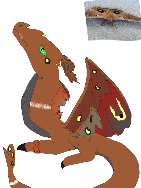 My Copper