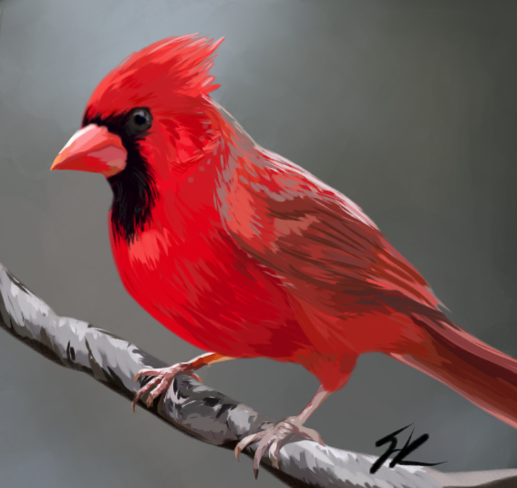 Cardinal