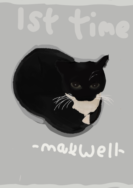 Maxwell the cat