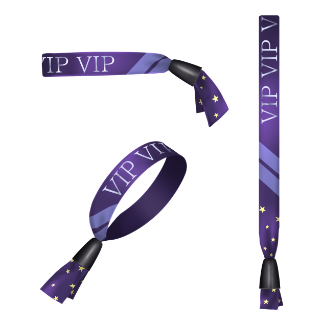 concert wristbands 2