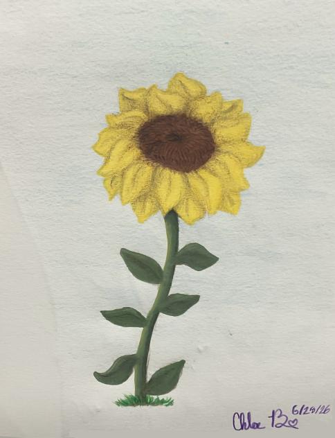 Sunflower realism