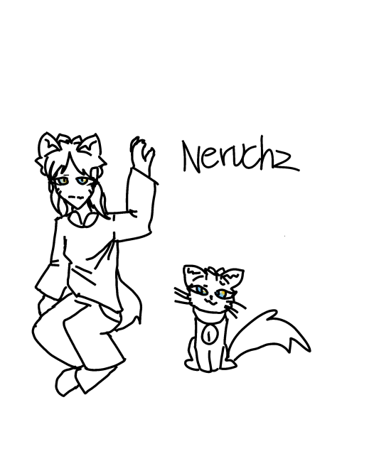 neruchz 네루츠