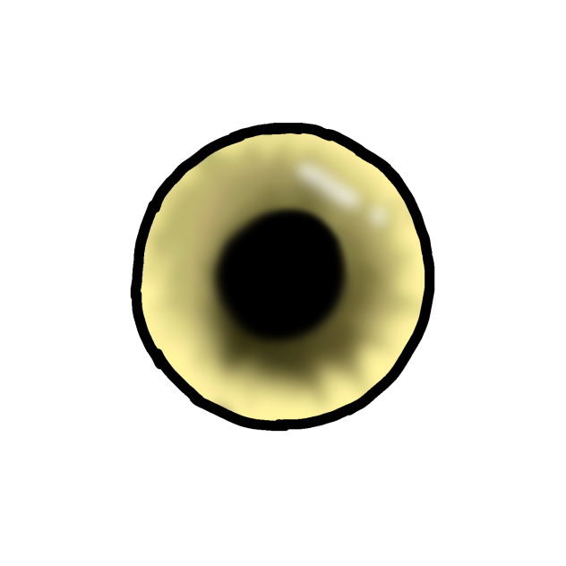 A yellow eye!