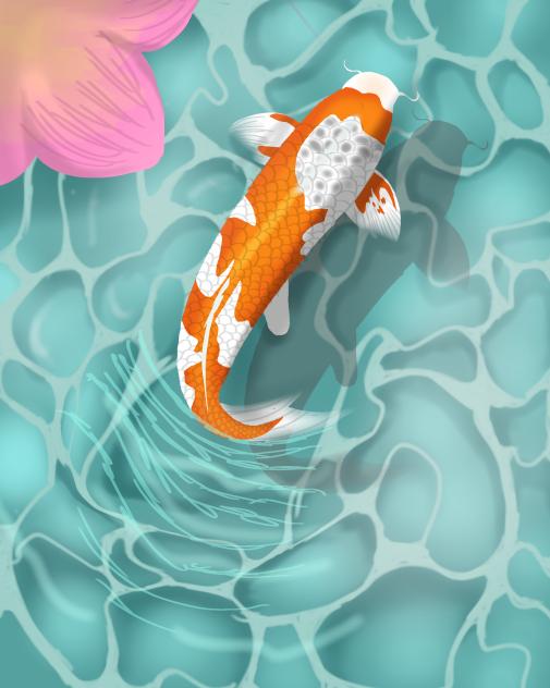 Koi fish