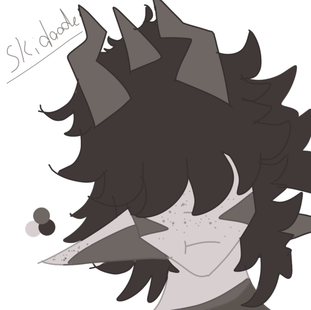 Skidoodle-Liv