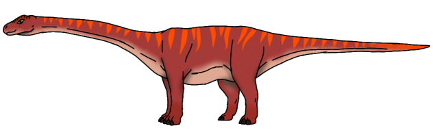 Volcano Diploterro female