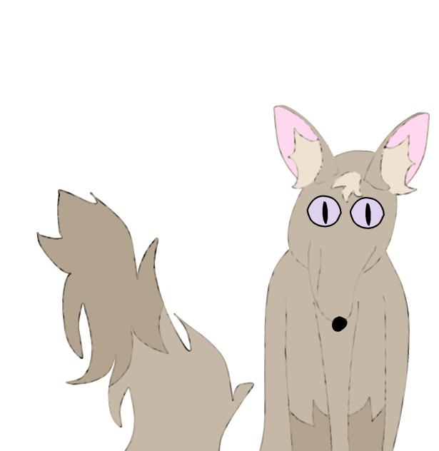 Abstract albino fox