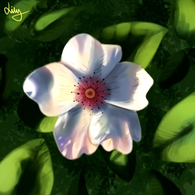 Realism attempt - ibisPaint