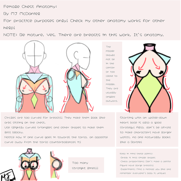 Female Chest Anatomy