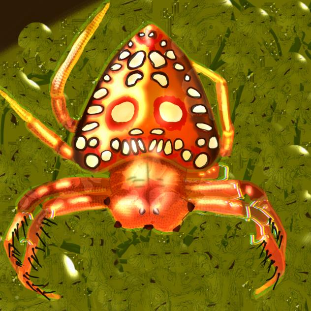 triangular spider art