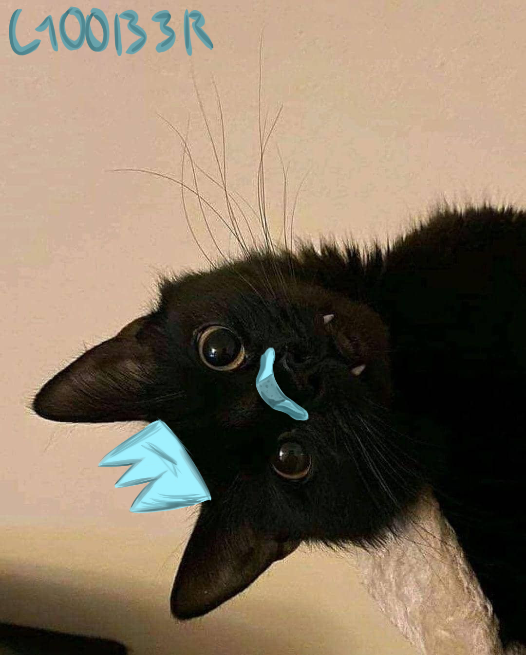 kitty - ibisPaint