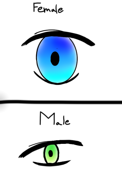Eyes