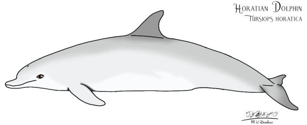 Horatian Dolphin (2023)