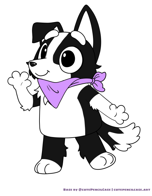 Luna the Border Collie