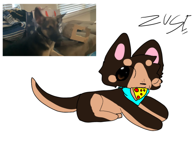 THATS a happy dog
