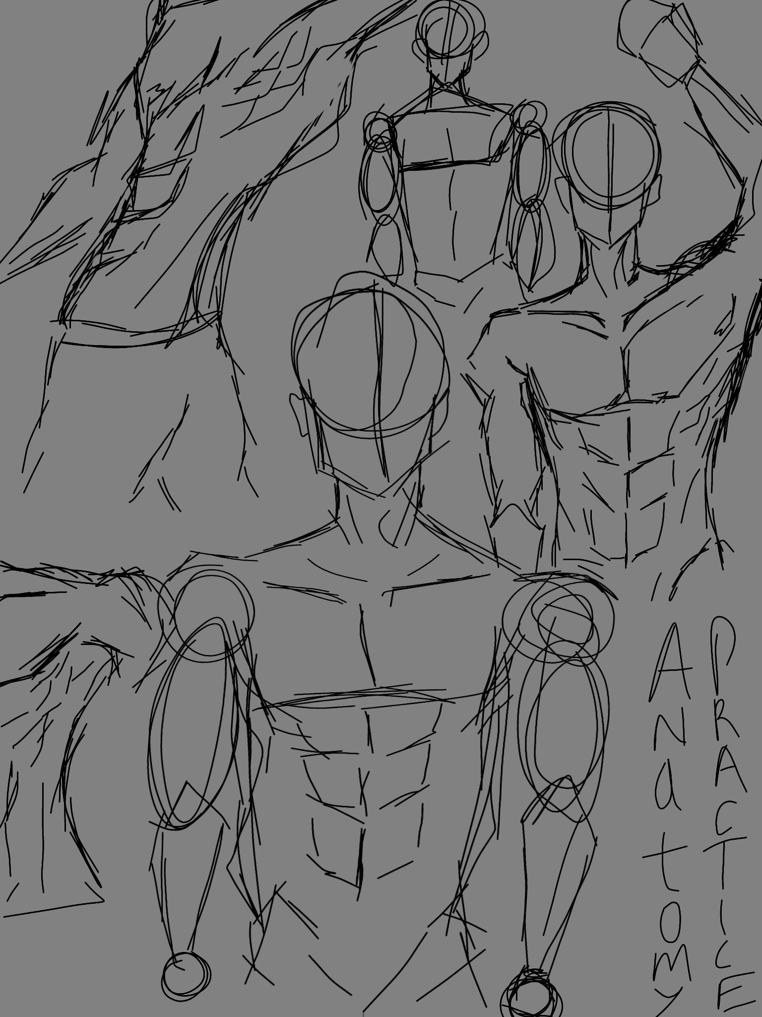anatomy practice - ibisPaint