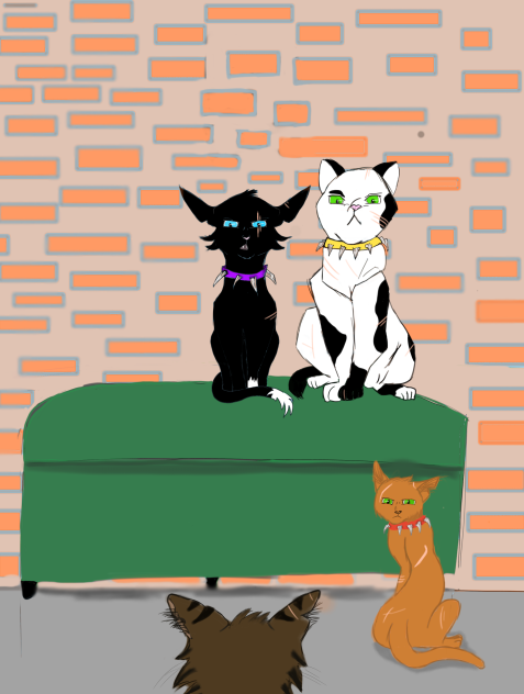 Scrouge and Tigerstar