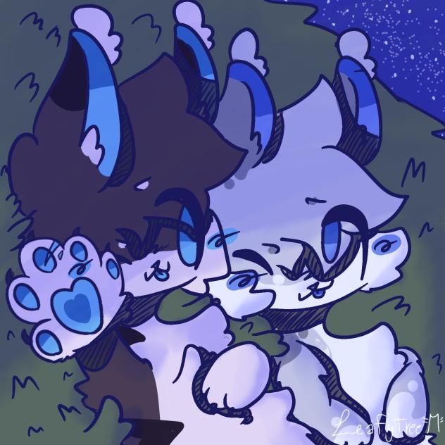 Star Gaze