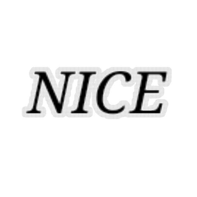nice 01