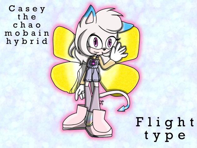 Casey the mobain chao hybrid