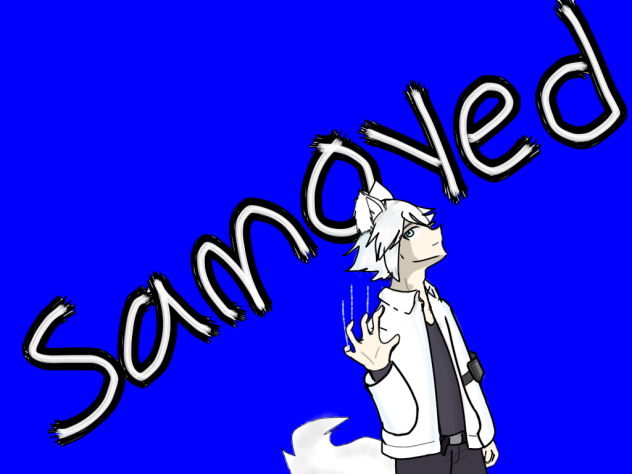 Samoyed 🐶🐺